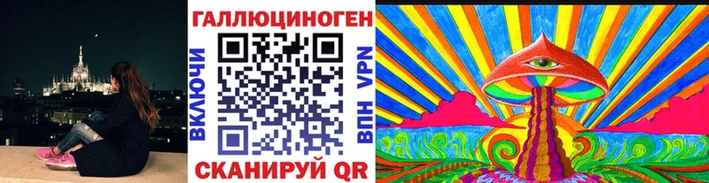 Галлюциногенные грибы Psilocybe  где продают наркотики  Белореченск 