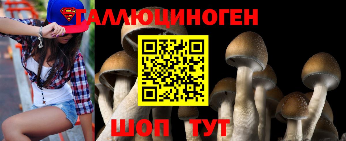 где можно купить   Вход с VPN  Белореченск  Галлюциногенные грибы ЛСД  Псилоцибиновые грибы мухоморы 